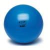 Мяч с системой ABS® для взрослых Power Gymnastic ball, диаметр 65 см
